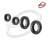 اورینگ مبدل ثانویه بوش - شاپه - وستن