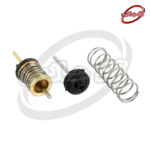 کیت تعمیر ام ایران قدیم (وارداتی) - Image 3