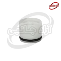 بای پس بوتان بزرگ